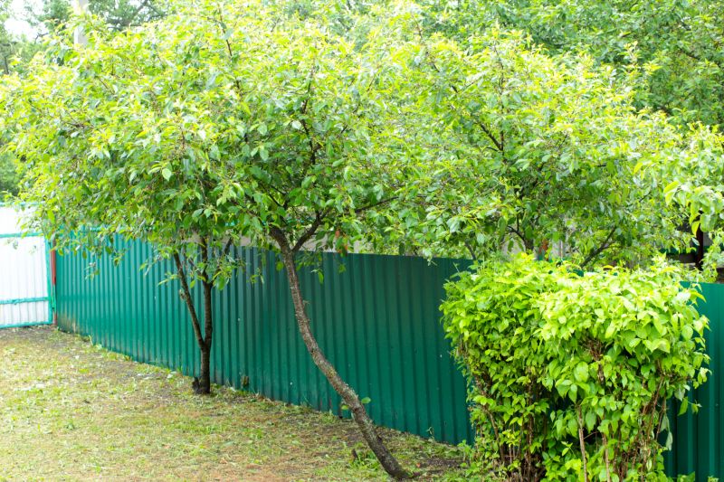 Metal Fence Painting
